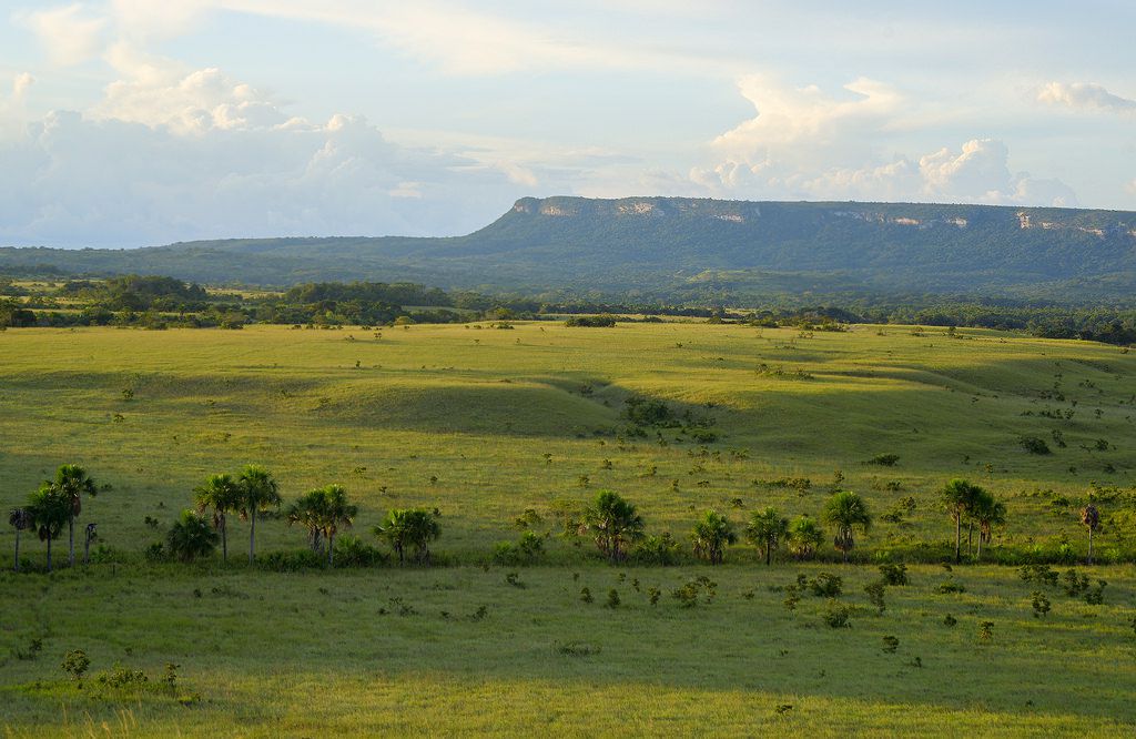 Odoo - Prueba 2 a tres columnas